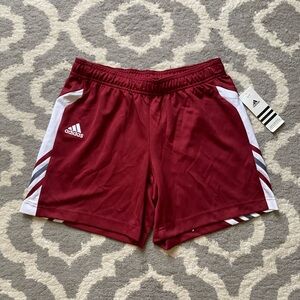 Adidas Shorts